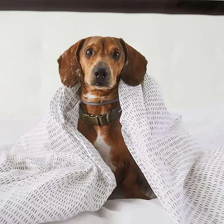 מלון Innside By Melia Derendorf