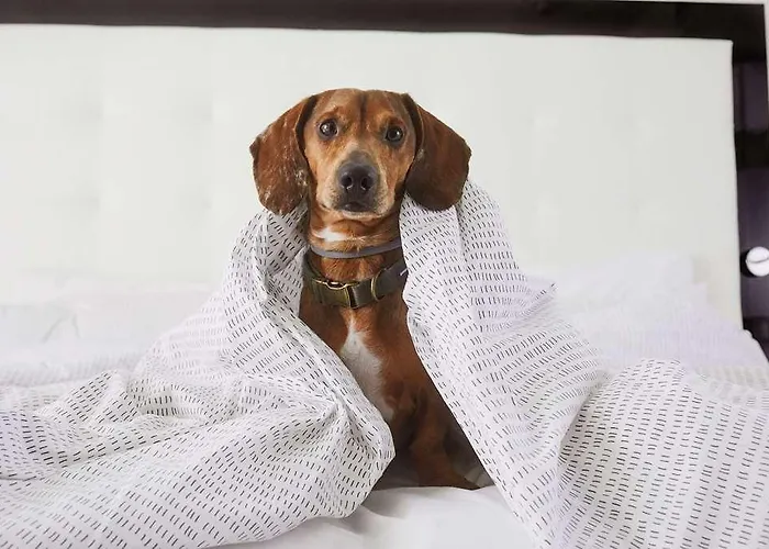 Hotel Innside Derendorf